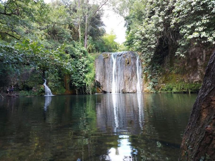 Finca Arep Alquiler Integro 6 Les Planes Les Planes d'Hostoles Kültér fotó